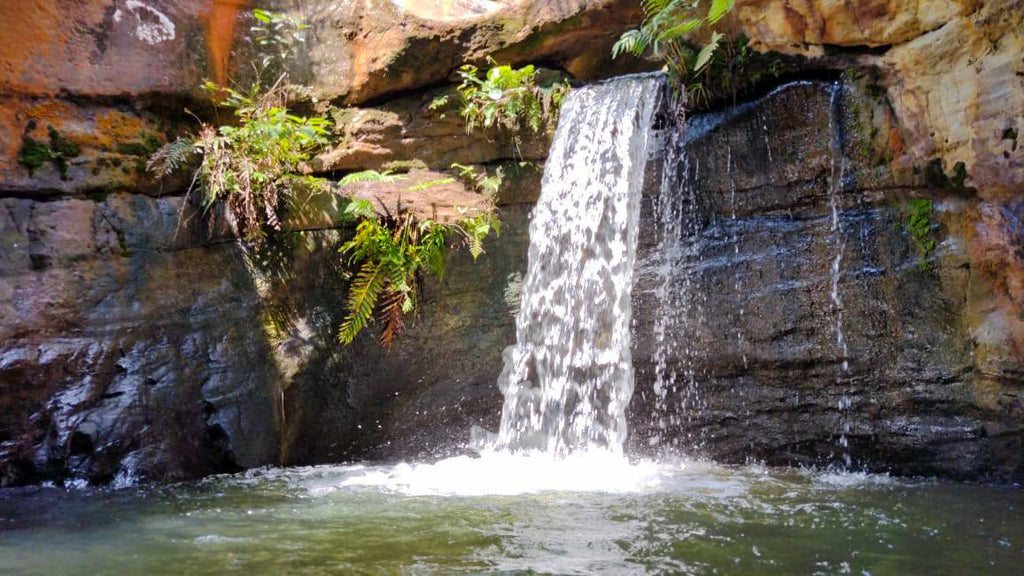 YAGUARA, AVENTURA, PAISAJISMO Y GASTRONOMIA DEL HUILA