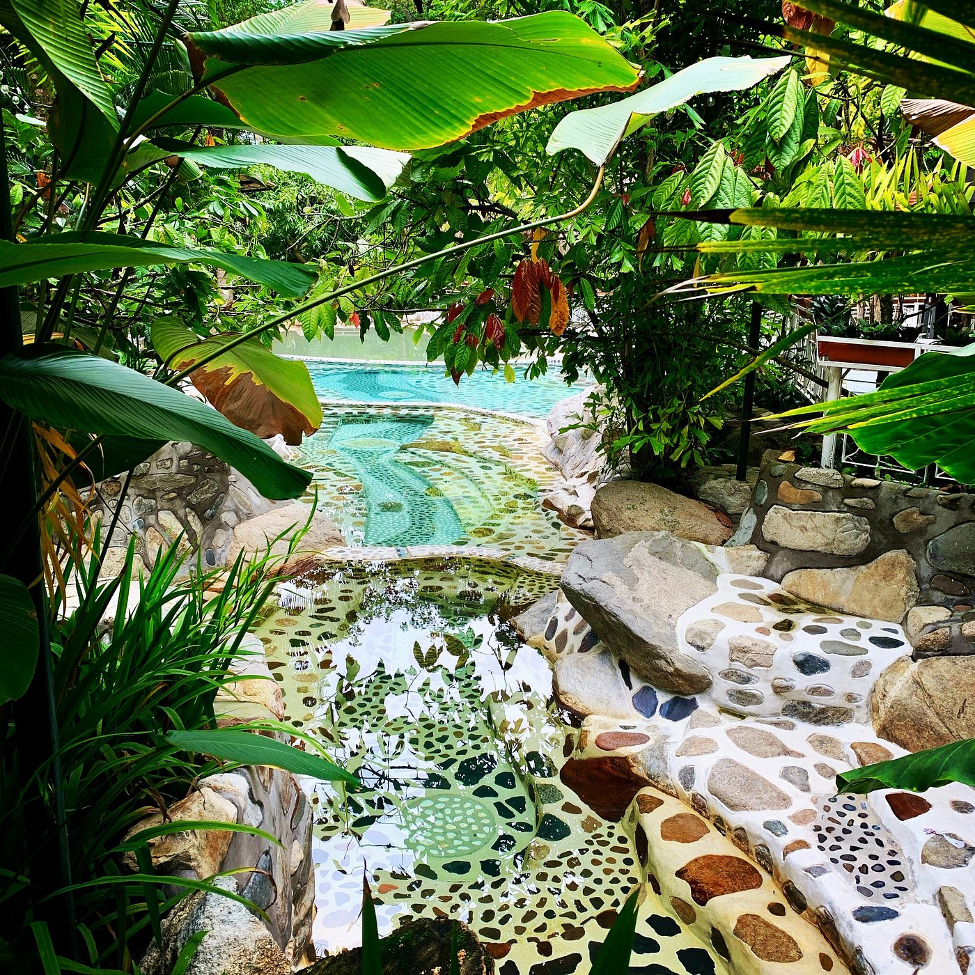 Tour Termales en Rivera: Relax, Café y Cultura en el Huila